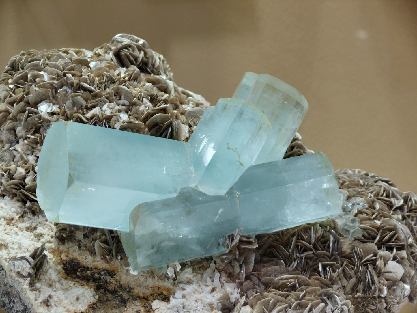 March Highlight: Aquamarine